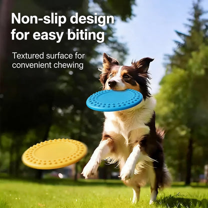 Pet Frisbee
