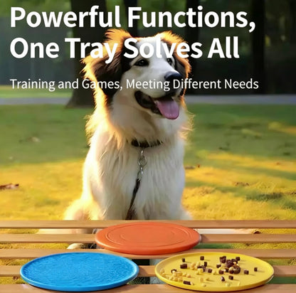 Pet Frisbee