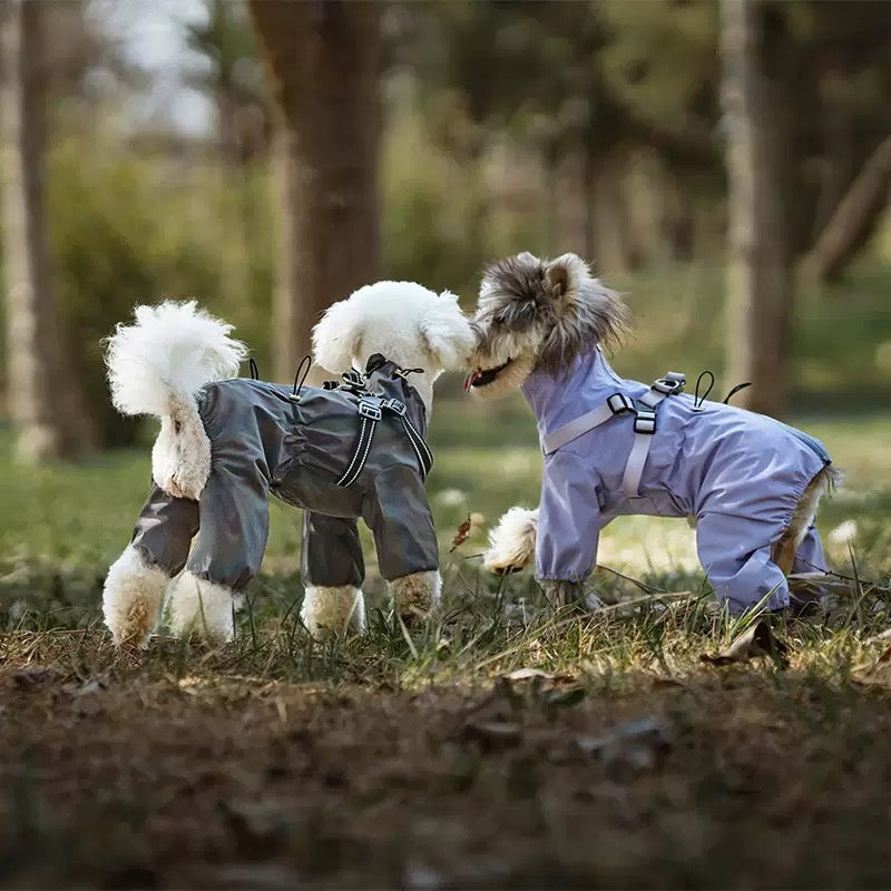 Pet  Outdoor Jacket