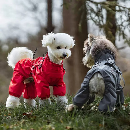 Pet  Outdoor Jacket