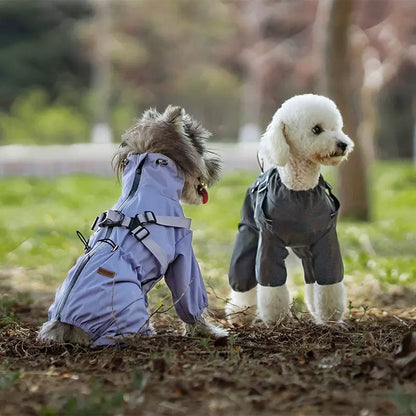 Pet  Outdoor Jacket