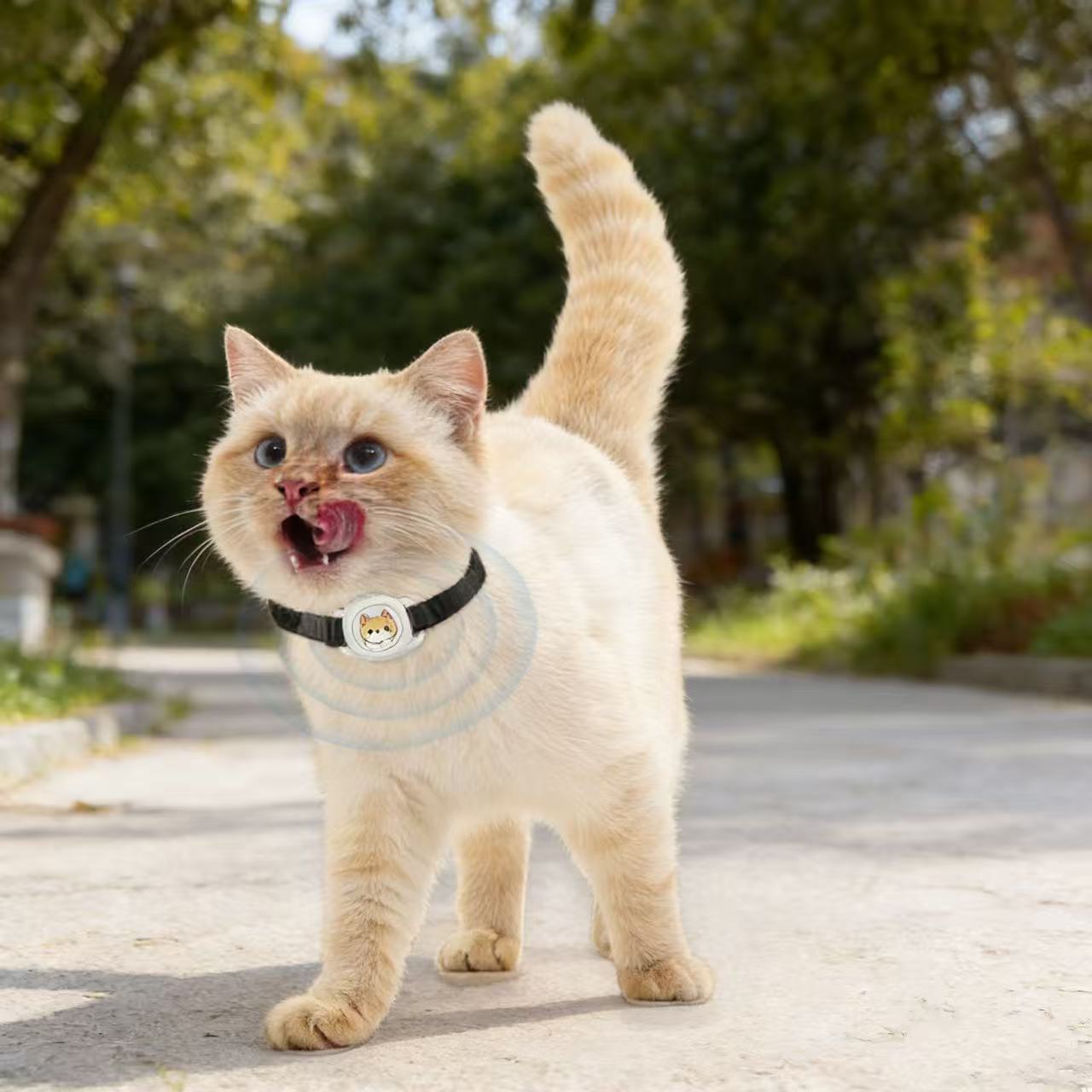 Pet Locator