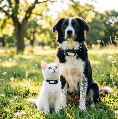 Pet Sports Camera