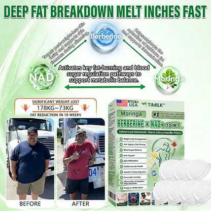 Moringa · Berberine × NAD+ 10-in-1 Advanced Metabolic Nano Microneedle Patch
