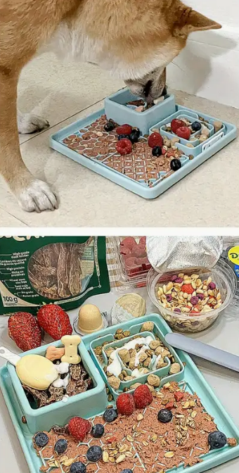 Multifunction Silicone Slow Feeder Trays For Pups and Cats - Assorted Styles/Colours