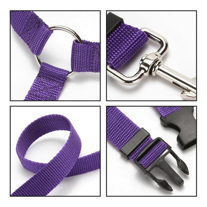 Black Friday 50% OFF - 🎁2 Pack Headrest Car Dog Safety Seatbelt